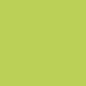 kolor .37 Yellow green | RAL 110 80 60