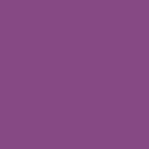 kolor .19 Violet | RAL 4008