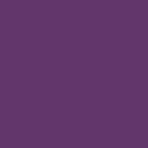kolor .44 Purple | RAL 320 30 35*